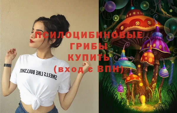экстази Бикин
