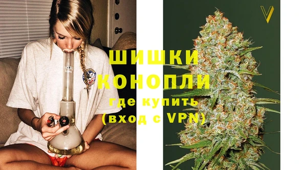 экстази Бикин
