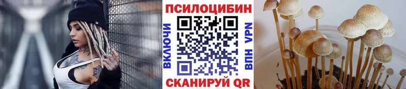 Галлюциногенные грибы прущие грибы  где можно купить   Омск 