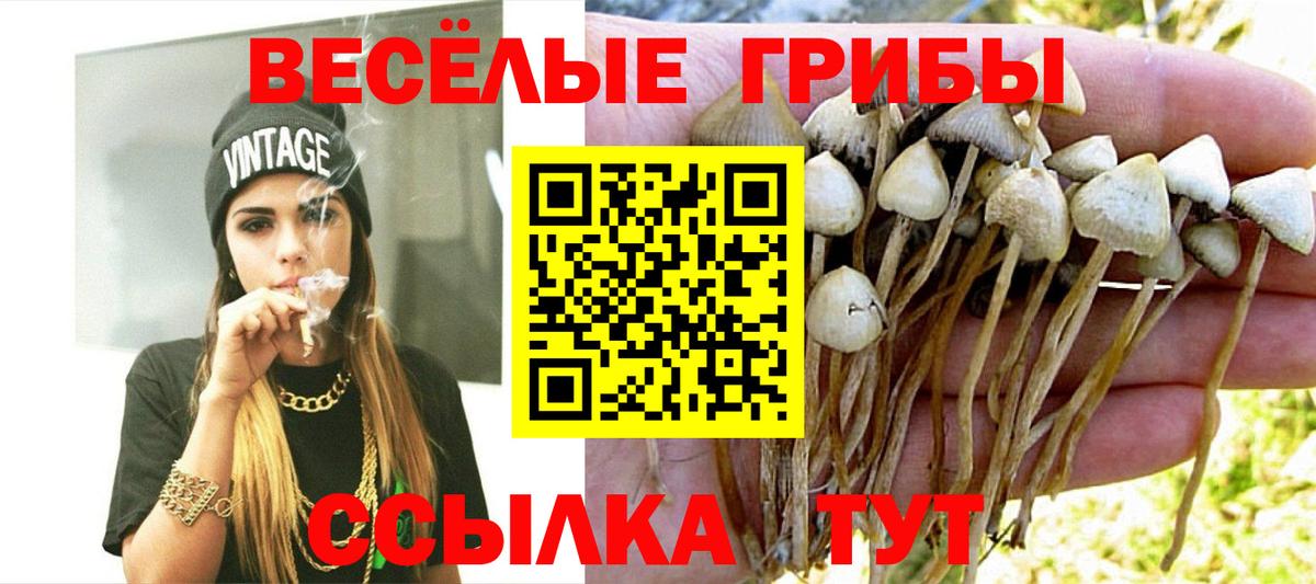 Псилоцибиновые грибы мухоморы  Вход с VPN  где купить наркотик  Омск 