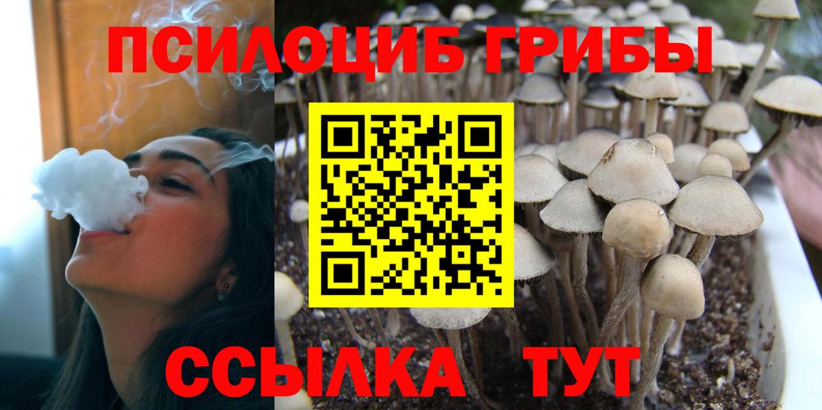 Галлюциногенные грибы GOLDEN TEACHER Омск
