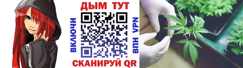 Бошки Шишки SATIVA & INDICA Омск